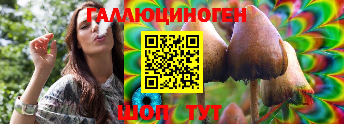Псилоцибиновые грибы MAGIC MUSHROOMS  Вход с VPN  Биробиджан 